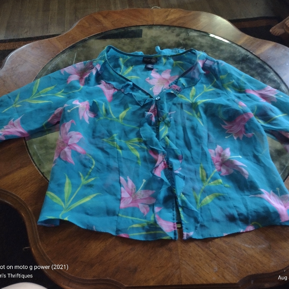 Sheer Chiffon Ruffled Blouse 18 20